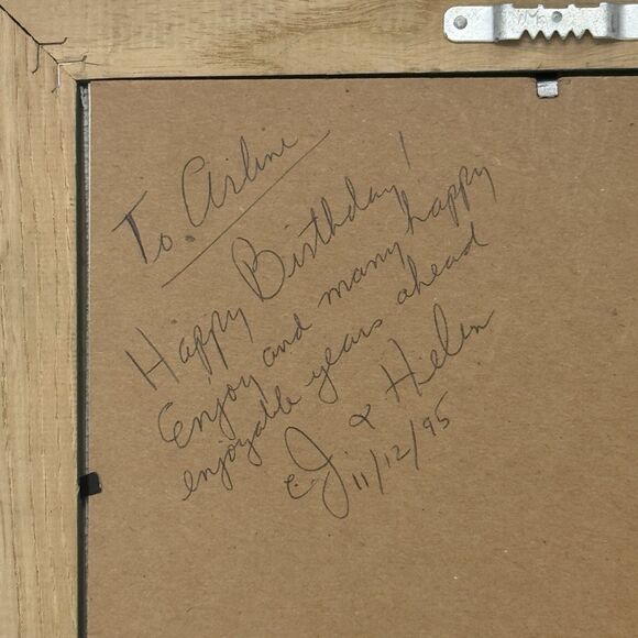 Vintage Handmade Cross Stitch Raining Cats and Dogs Framed 1995 12.5”x11” Green - Picture 3 of 6